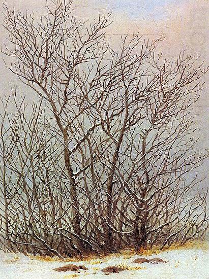 Baume und Straucher im Schnee, Caspar David Friedrich